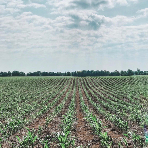 The Snyder Farm Field in Oconomowoc