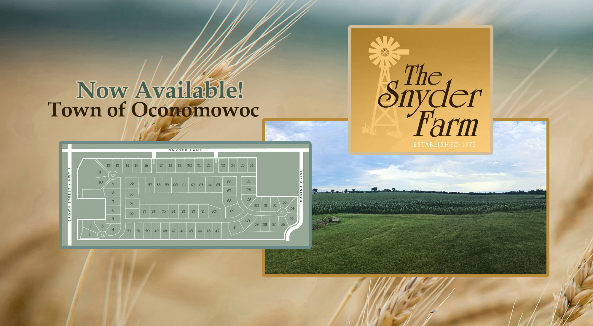 The Snyder Farm - Your dream home awaits!